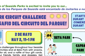 Park Circuit Challenge Flyer