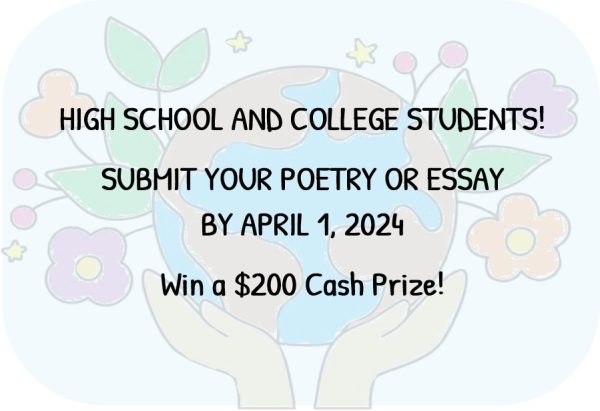 2024 Essay Contest hdr