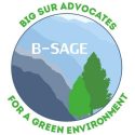 B-SAGE logo 4 Low Res