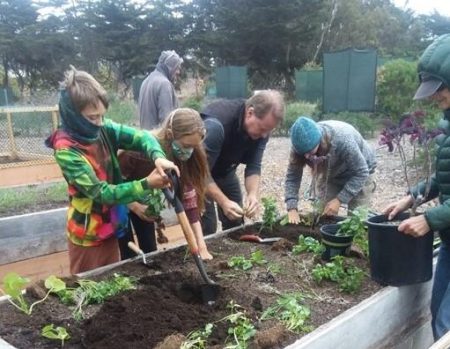 C4SM 2022 planting in new bed (2)