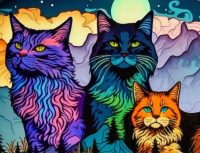 HoveringBreadcat cats