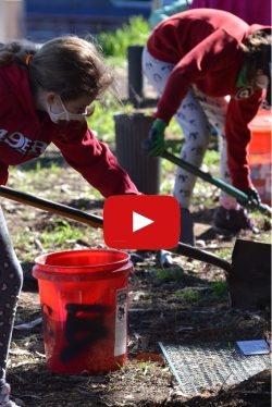 KION Coverage - Girl Scouts oak planting - video front