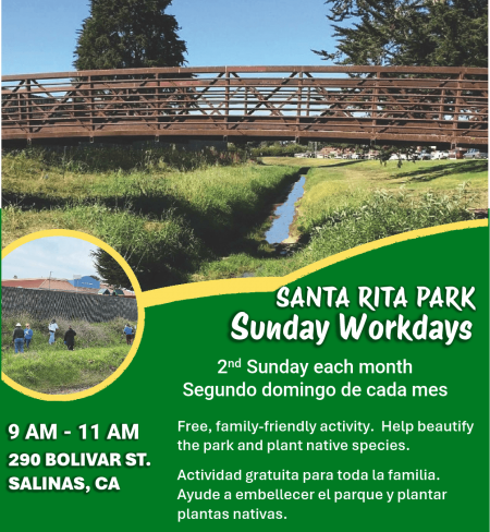 Santa RIta Park Workday flyer 2025