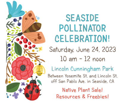 Seaside Pollinator Celebration 6-24-2023 clip