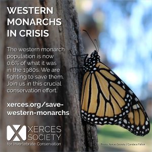 Western Monarchs in Crisis - Xerces 600x600