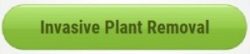 submit-button-green-invasive-plant-removal-1-300x65