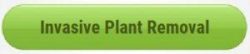 submit-button-green-invasive-plant-removal-1-300x65